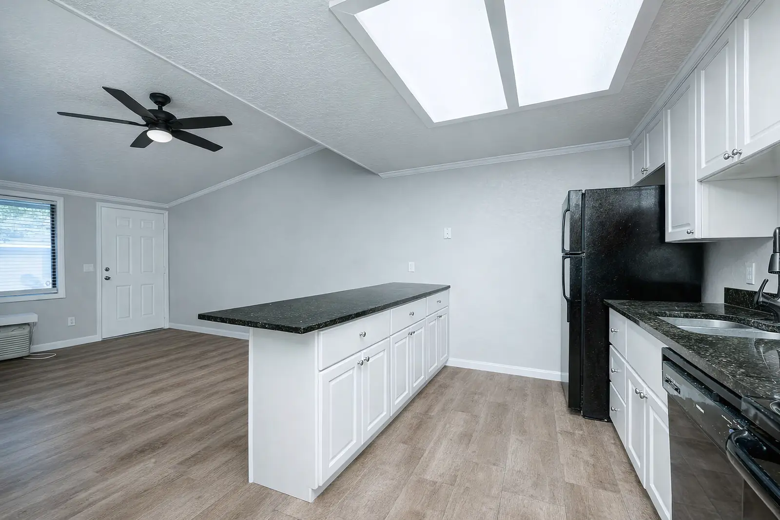 Connected living and kitchen space.